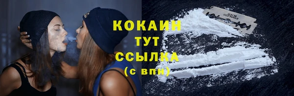 шишки Арсеньев