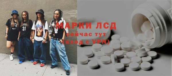 шишки Арсеньев