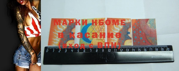 шишки Арсеньев