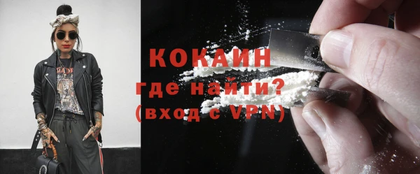 шишки Арсеньев