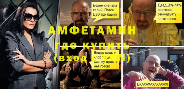 сатива Новодвинск