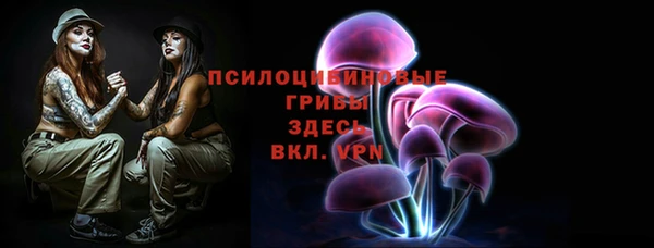 дурь Аркадак