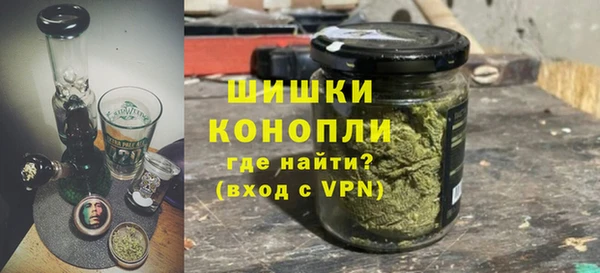 шишки Арсеньев
