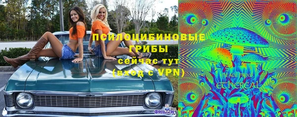 шишки Арсеньев