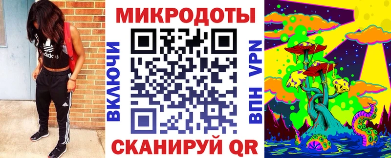 Галлюциногенные грибы GOLDEN TEACHER  где купить наркоту  Новозыбков 